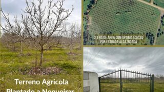 Land for sale in Alvito, Portugal — €95,000