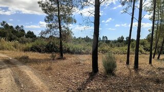 Terreno para venda em Abrantes, Portugal — 3850 €