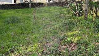 Land for sale in Vila Nova de Famalicão, Portugal — €79,000