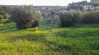 Land for sale in Torres Novas, Portugal — €35,000