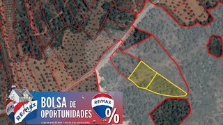 Land for sale in Torres Novas, Portugal — €5,900