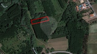 Land for sale in Anadia, Portugal — €30,000