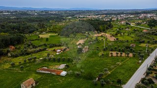 Land for sale in Carregal do Sal, Portugal — €40,000