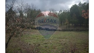 Land for sale in Guarda, Portugal — €35,000