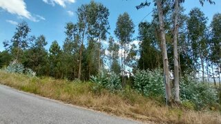 Land for sale in Sertã, Portugal — €10,000