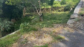 Terreno de 374 m² em Viana do Castelo