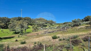 Land for sale in Nisa, Portugal — €230,000