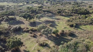 Land for sale in Castelo de Vide, Portugal — €75,000