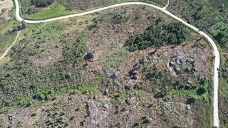 Land for sale in Fornos de Algodres, Portugal — €14,000