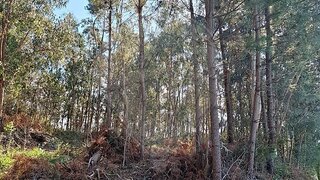 Terreno para venda em Amares, Portugal — 59 900 €