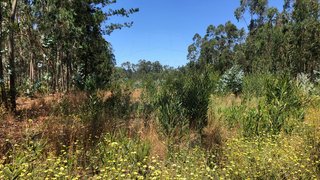 Land for sale in Figueira da Foz, Portugal — €5,500