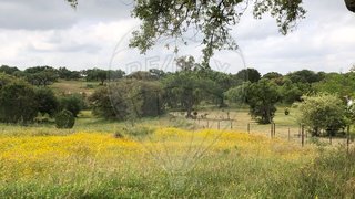 Land for sale in Benavente, Portugal — €120,000