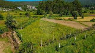 Terreno em Barcelos