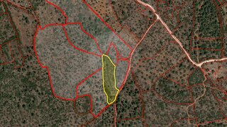 Land for sale in Torres Novas, Portugal — €3,950