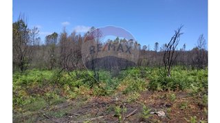 Land for sale in Vouzela, Portugal — €67,000