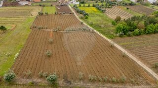 Land for sale in Cantanhede, Portugal — €39,000