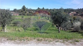Land for sale in Sertã, Portugal — €25,000