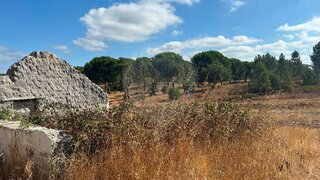 Land for sale in Coruche, Portugal — €230,000