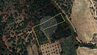 Land for sale in Abrantes, Portugal — €8,000