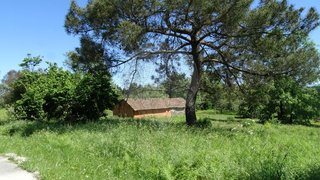 Terreno para venda em Mangualde, Portugal — 15 000 €