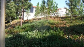 Land for sale in Lousã, Portugal — €67,000