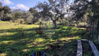 Land for sale in Loulé, Portugal — €15,000