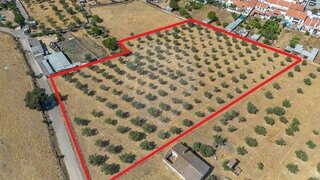 Land for sale in Estremoz, Portugal — €45,000