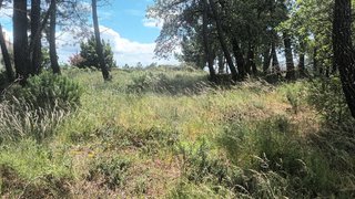 Land for sale in Tomar, Portugal — €60,000