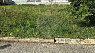 Land for sale in Moita, Portugal — €67,500