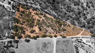 Land for sale in Alcácer do Sal, Portugal — €75,000