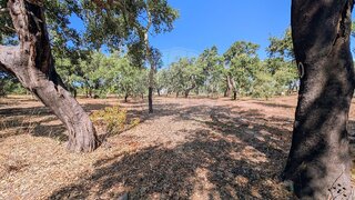 Land for sale in Grândola, Portugal — €99,000