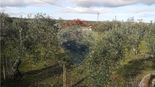 Land for sale in Elvas, Portugal — €44,900