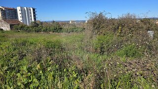 Land for sale in Mangualde, Portugal — €185,000