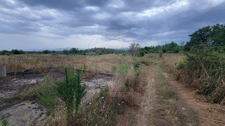 Land for sale in Santa Comba Dão, Portugal — €60,000