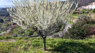 Land for sale in Covilhã, Portugal — €85,000