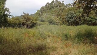 Land for sale in Vila Verde, Portugal — €40,000