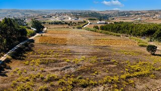Terreno · 3000 m² · 10 000 €