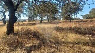 Land for sale in Vila Velha de Ródão, Portugal — €7,000