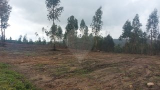 Land for sale in Mação, Portugal — €12,500