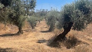 Terreno para venda em Ansião, Portugal — 15 000 €