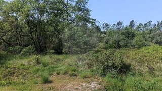 Land for sale in Pombal, Portugal — €7,500