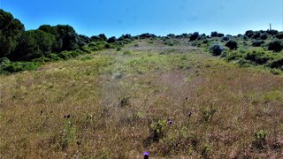 Land for sale in Sintra, Portugal — €25,000