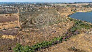 Land for sale in Moura, Portugal — €55,000