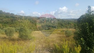 Land for sale in Tomar, Portugal — €45,000