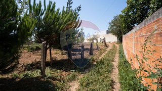 Land for sale in Vagos, Portugal — €27,000