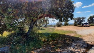 Land for sale in Idanha-a-Nova, Portugal — €11,500