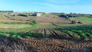 Land for sale in Lourinhã, Portugal — €35,000