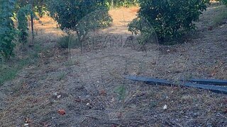 Land for sale in Resende, Portugal — €59,900