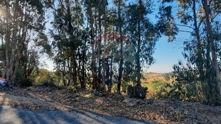Land for sale in Idanha-a-Nova, Portugal — €7,500