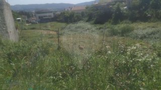Land for sale in Paredes, Portugal — €180,000